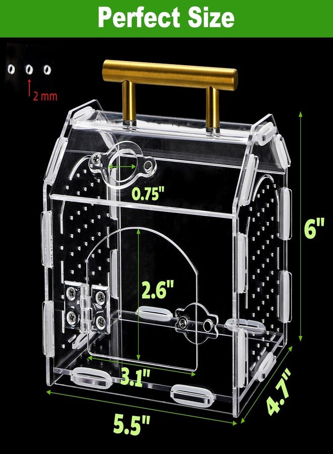 Tlence Jumping Spider Enclosure with Handle, Acrylic Reptile Habitat with One-Click Magnetic Closure, Front Opening Small Terrarium with Ventilation Holes for Tarantulas, Frogs, Gecko, Mantis - Image 2